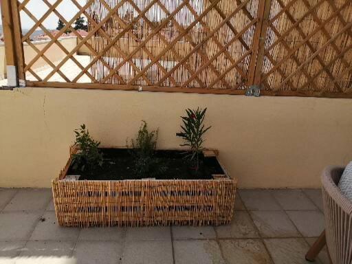 Zelu Apartamento Centro Da Guarda Zewnętrze zdjęcie