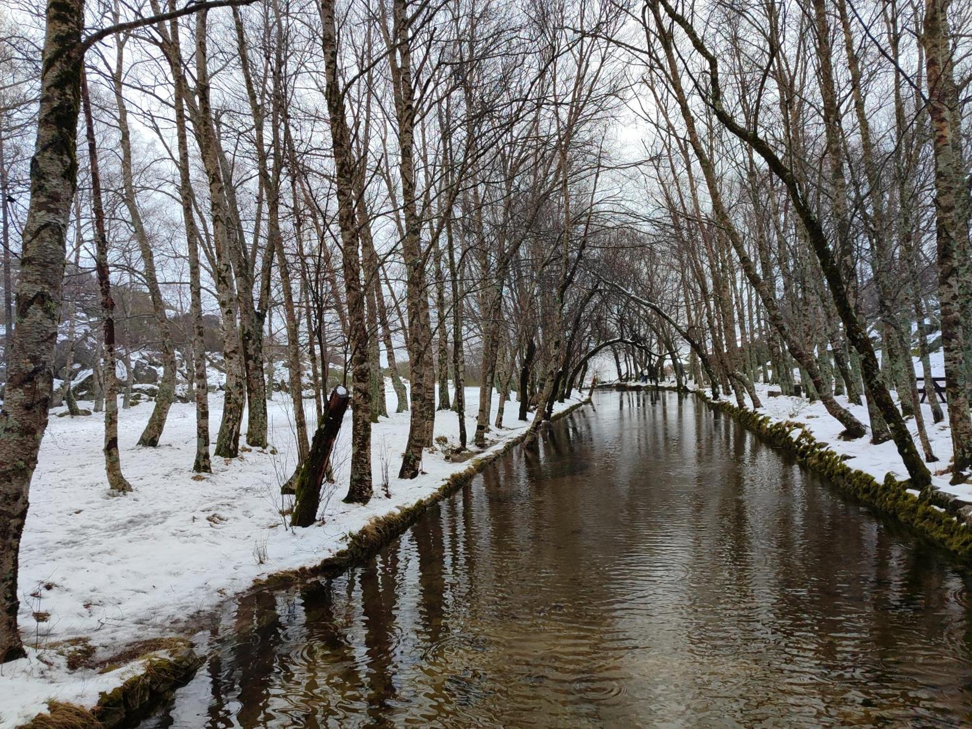 Zelu Apartamento Centro Da Guarda Zewnętrze zdjęcie